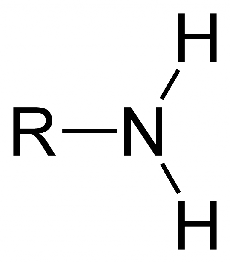 Amino Acid Structure 8515